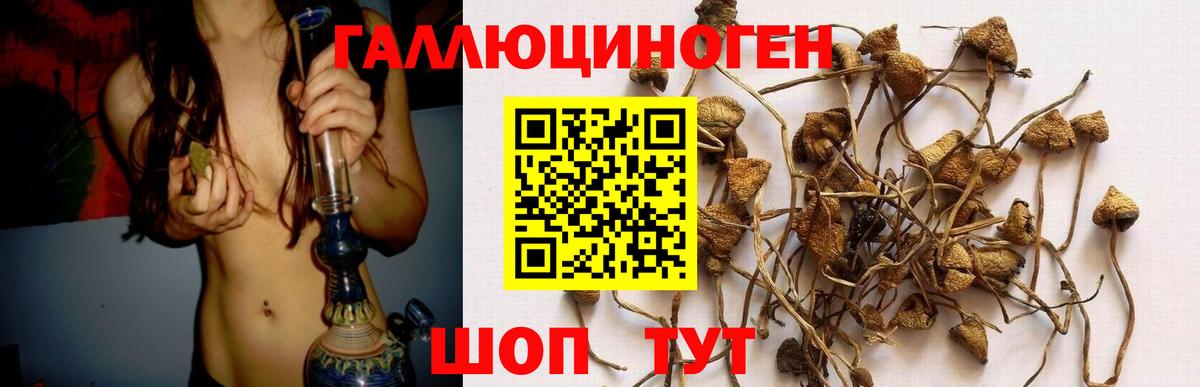 Галлюциногенные грибы Cubensis Аргун