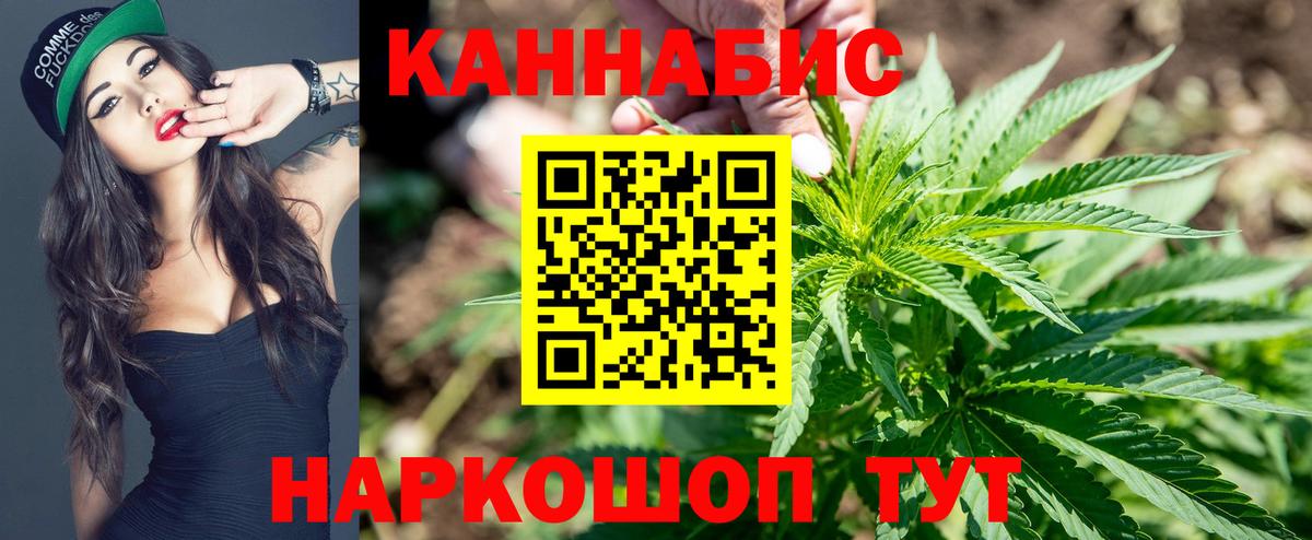 Бошки марихуана OG Kush  Марихуана MAZAR  Аргун  Вход с VPN 